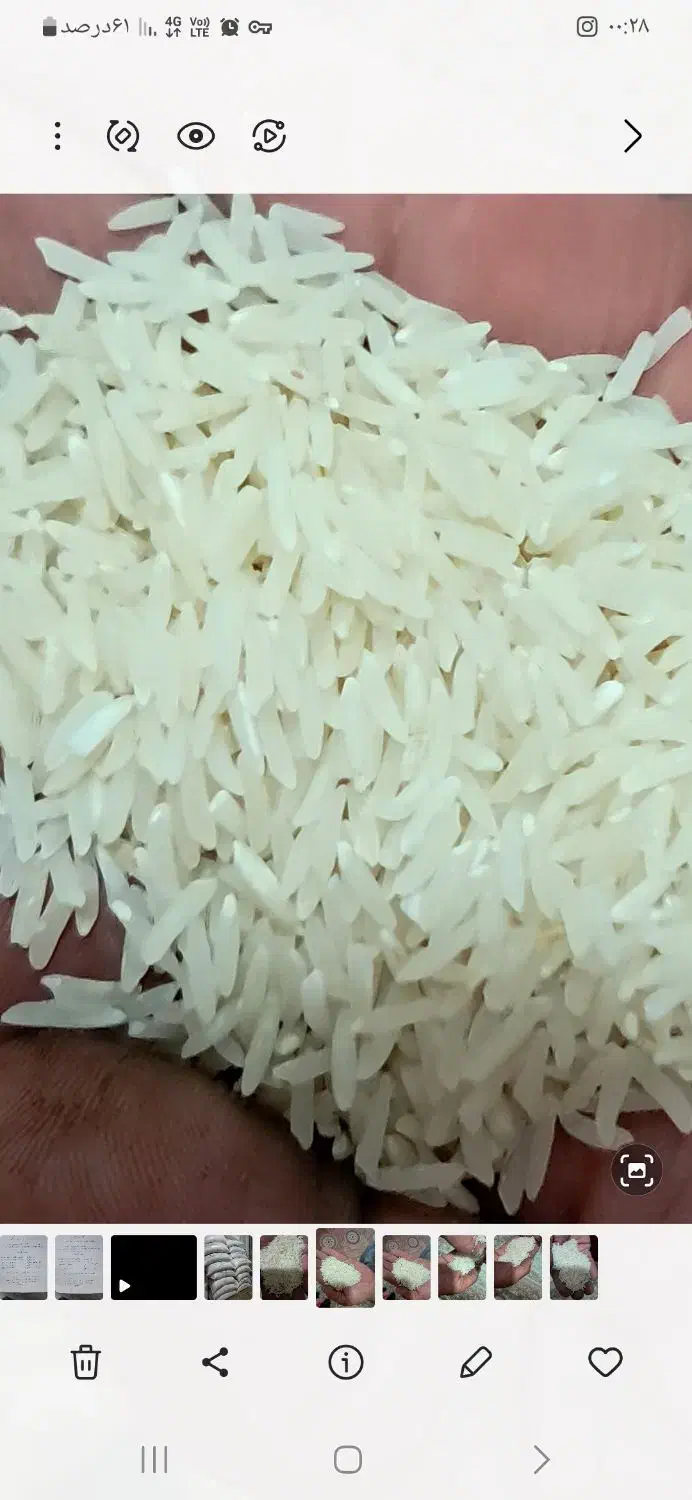 برنج فجر سوزنی تخت بوجار|خوردنی و آشامیدنی|گرگان, |دیوار