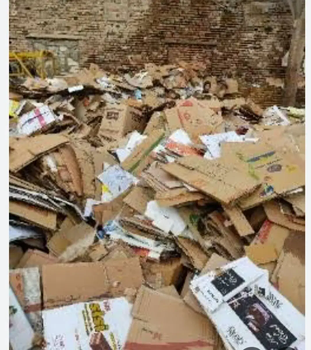 کارتن|مواد شوینده و دستمال کاغذی|اردبیل, |دیوار