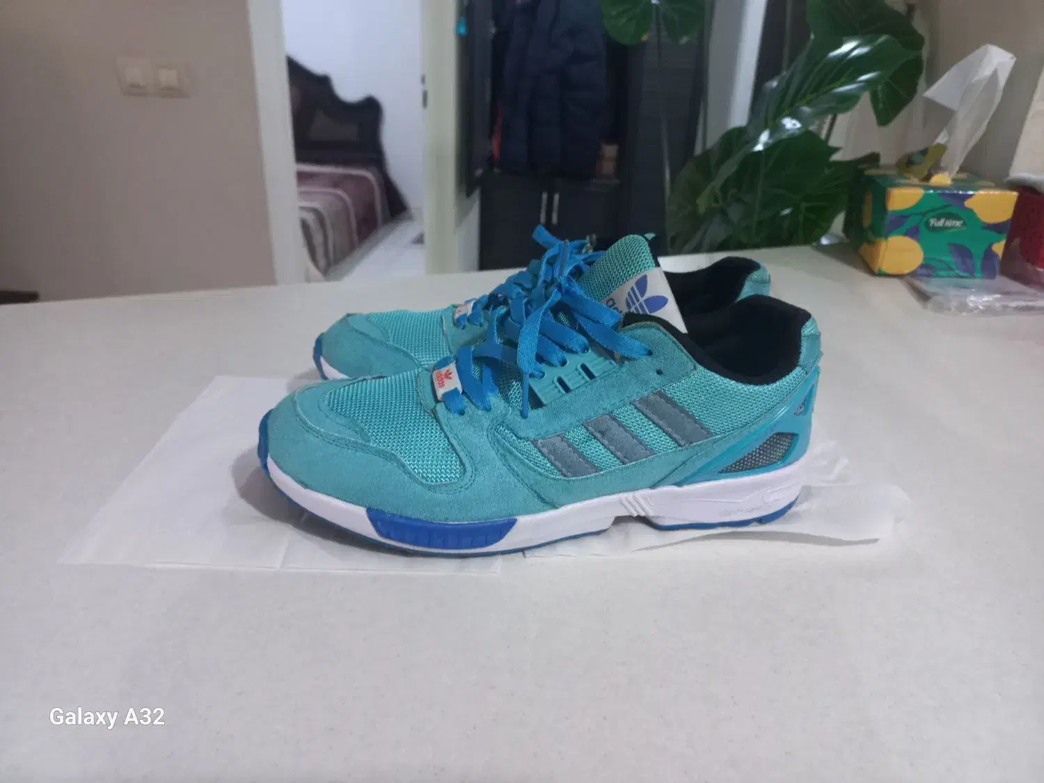 کتونی|کیف، کفش، کمربند|کرج, کوی زنبق|دیوار