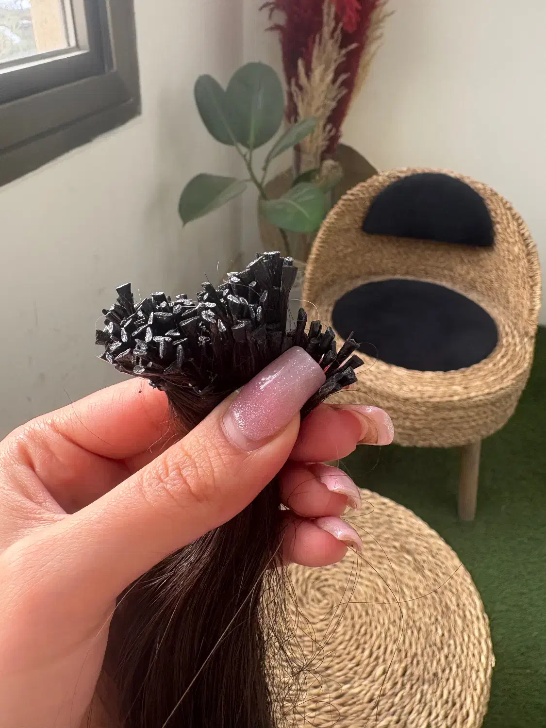 مو طبیعی|آرایشگاه و سالن‌های زیبایی|مشهد, چهارچشمه|دیوار