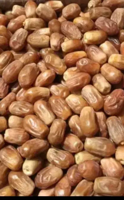 خرمای زاهدی (قصب )|خوردنی و آشامیدنی|شیراز, میانرود|دیوار