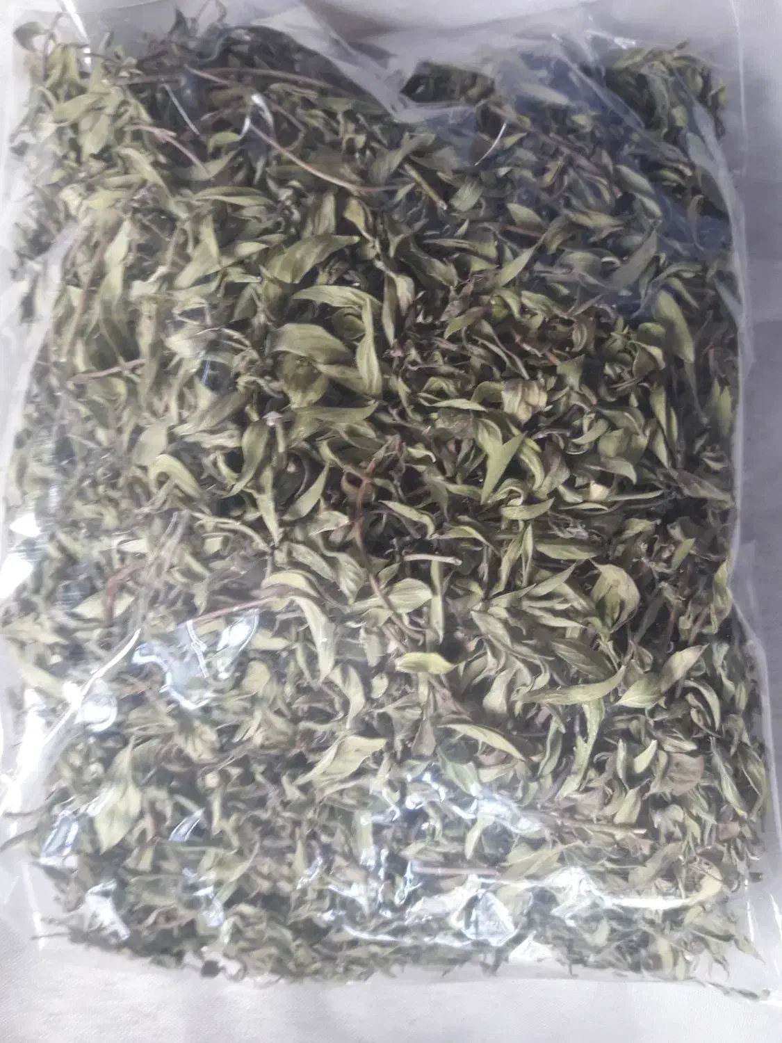 زیره کوهی وآنوخ یا چای کوهی و آویشن از کوهای بینال|گل و گیاه طبیعی|مشهد, شهرک ابوذر|دیوار