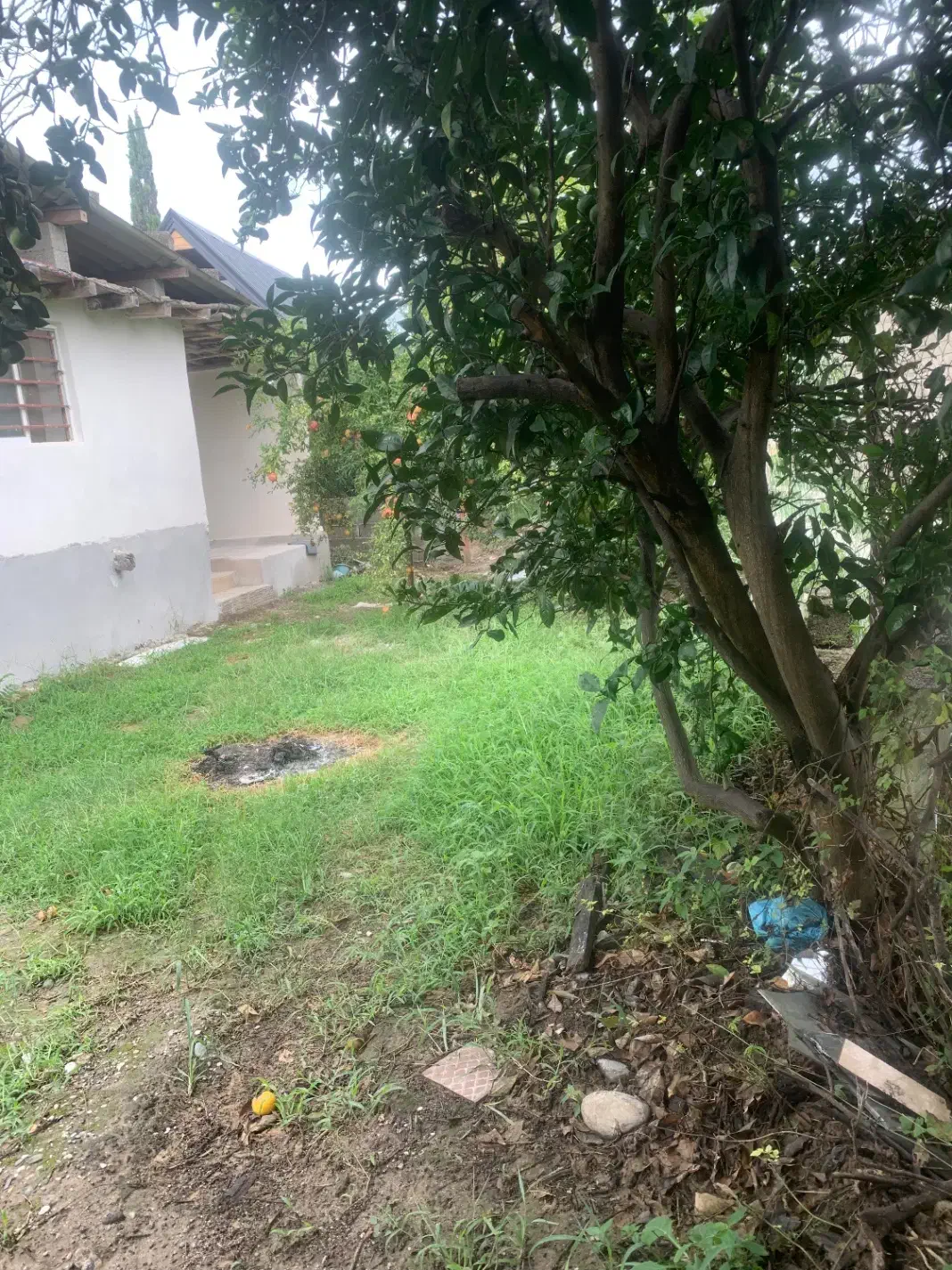 زمین با کاربری تمام مسکونی با بنای قدیمی|فروش زمین و ملک کلنگی|دالخانی, |دیوار