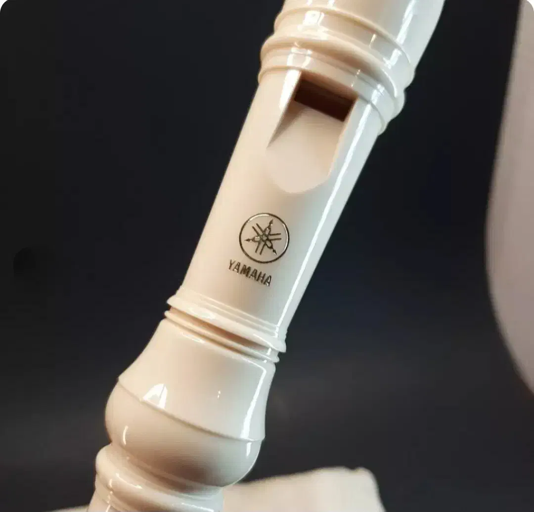 فلوت ریکوردر|سازهای بادی|شهرکرد, |دیوار