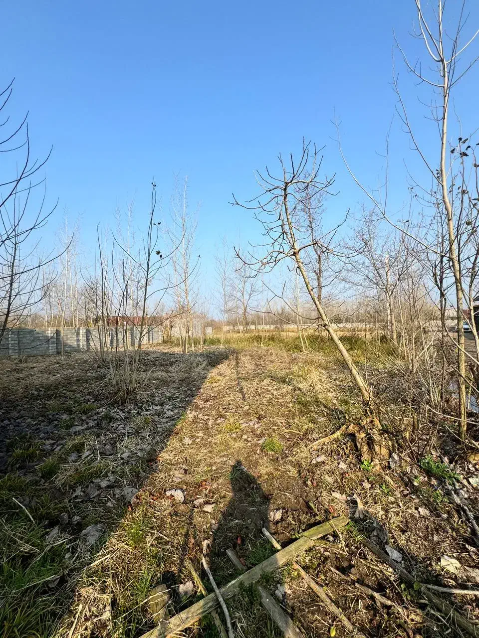 زمین ۲۱۶ متری مسکونی باپروانه ساخت روستایی لنگرود|فروش زمین و ملک کلنگی|چاف و چمخاله, |دیوار