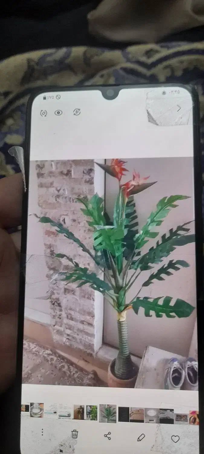 گل حراج|گل مصنوعی|بندرعباس, |دیوار