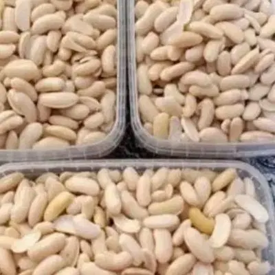 غذا|خوردنی و آشامیدنی|رشت, پاره بیجار|دیوار
