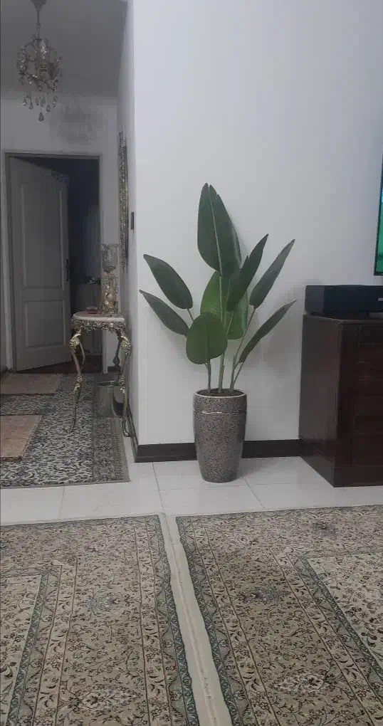 درختچه مصنوعی|گل مصنوعی|اندیشه, اندیشه فاز ۵|دیوار