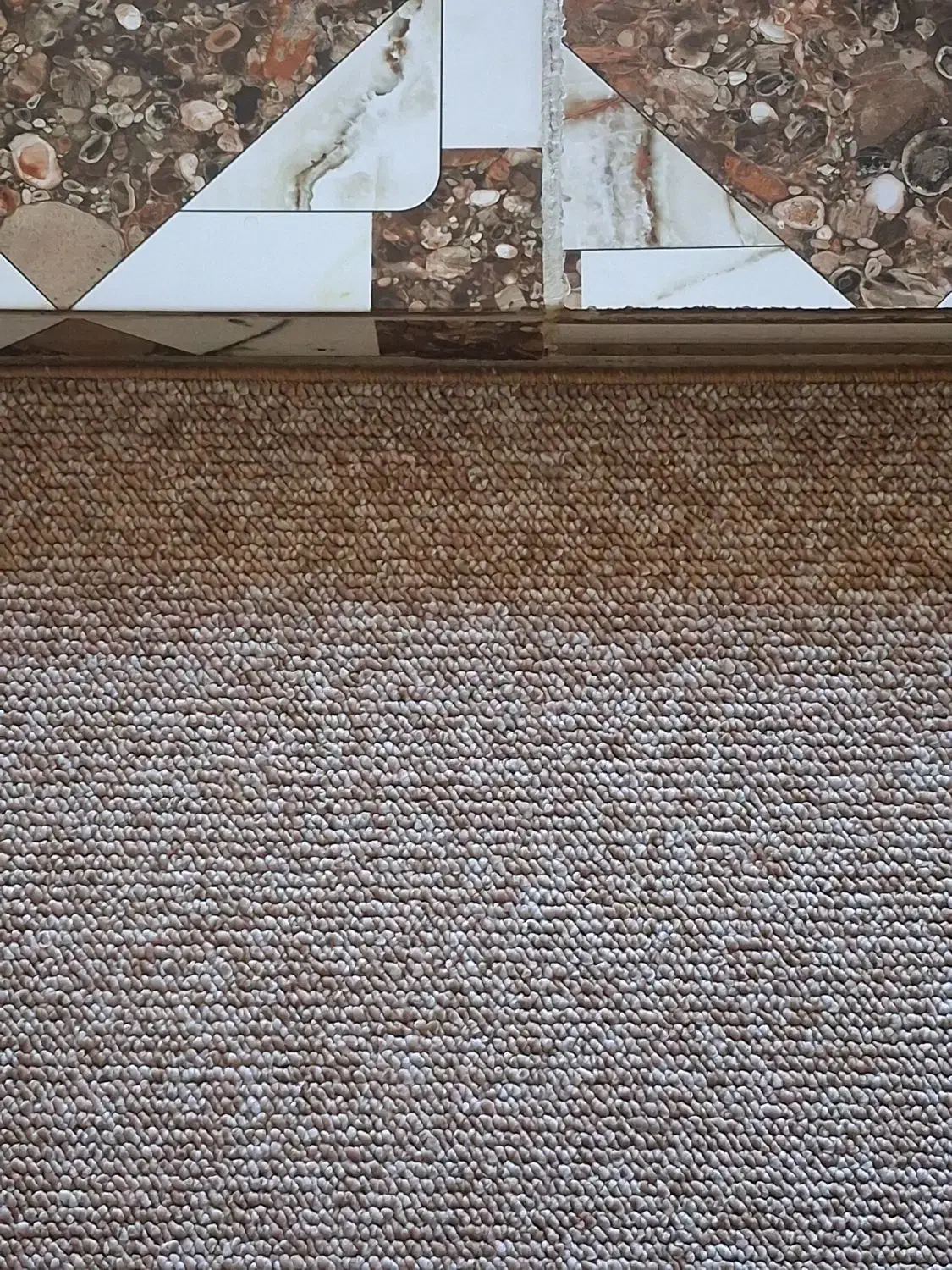 پالاز موکت|فرش|سرپل ذهاب, |دیوار