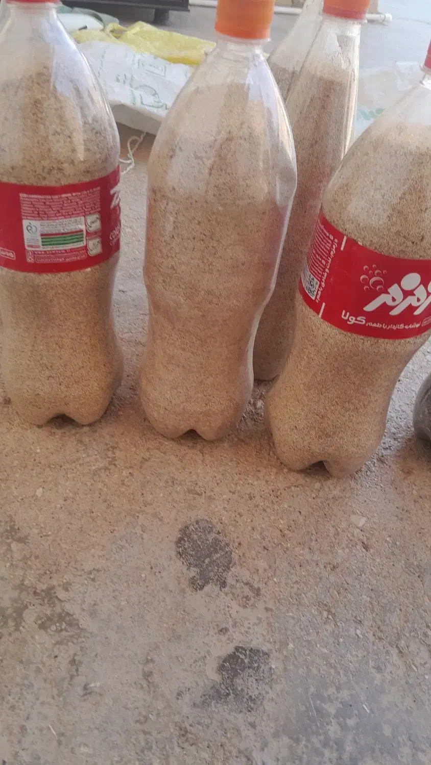 گیاه دارویی|گل و گیاه طبیعی|کوهدشت, |دیوار