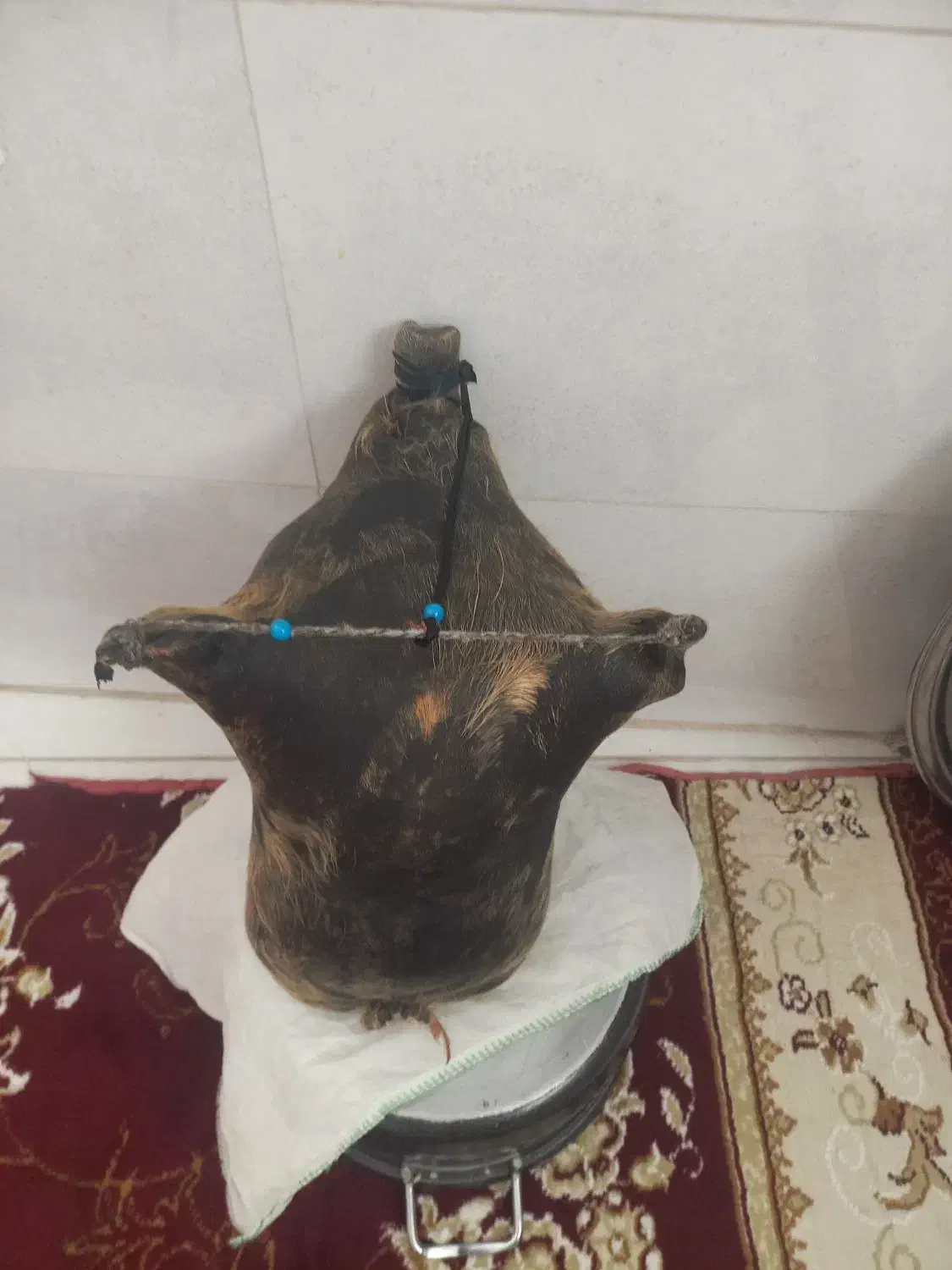 هیزه|ظروف نگهدارنده، پلاستیکی، یک‌بارمصرف|ایلام, |دیوار