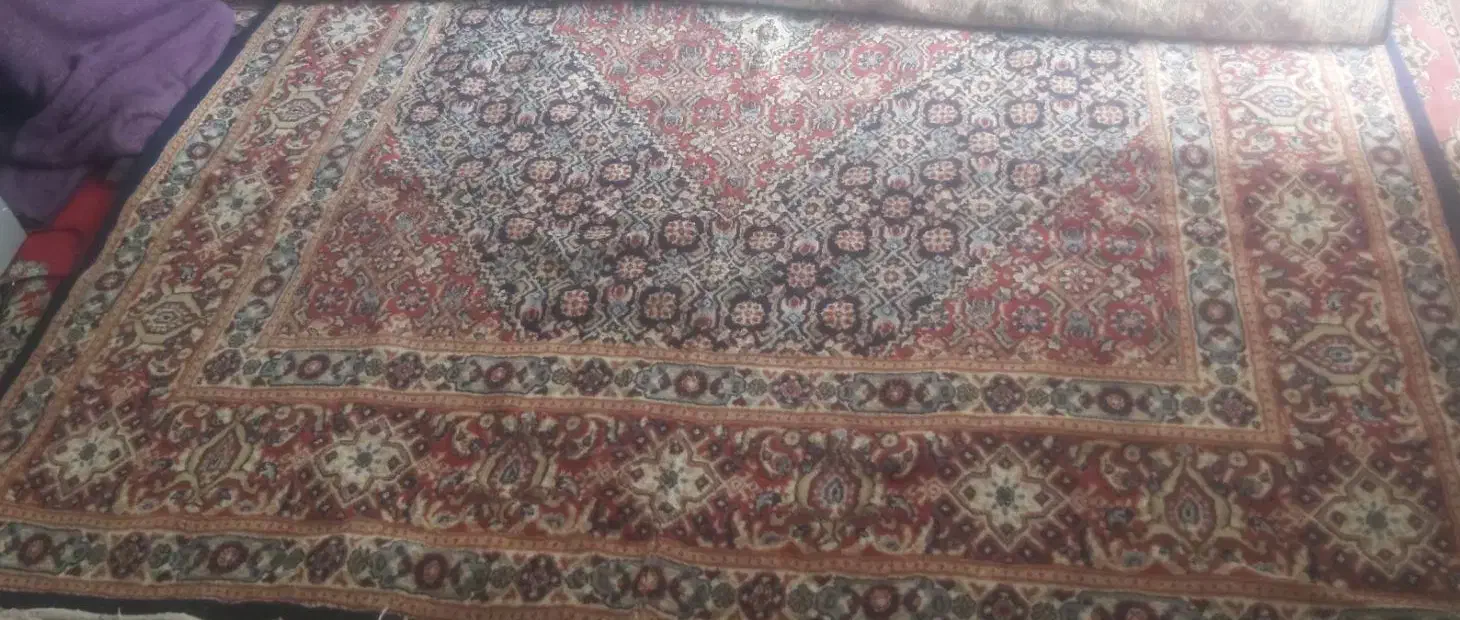 قالی تمیز و قشنگ|فرش|اهواز, چهارصد دستگاه|دیوار