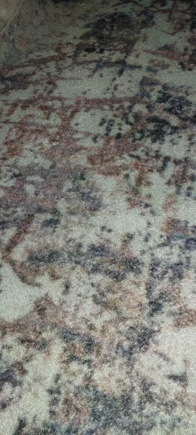 موکت طرحدار|موکت|قم, بلوار امین و ساحلی|دیوار