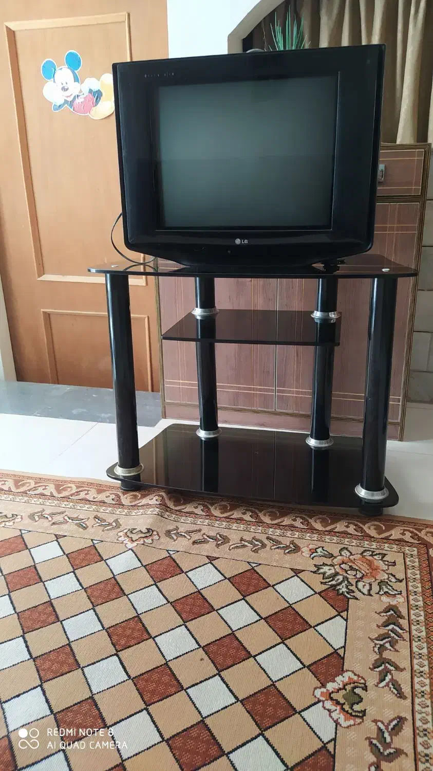 تلویزیون|تلویزیون و پروژکتور|کاشان, درب جوشقان|دیوار