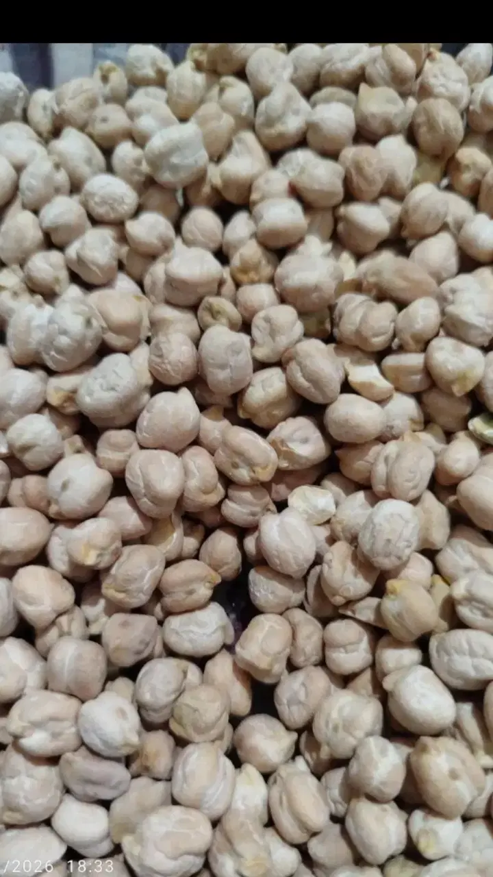 عدس ونخود|خوردنی و آشامیدنی|الیگودرز, |دیوار