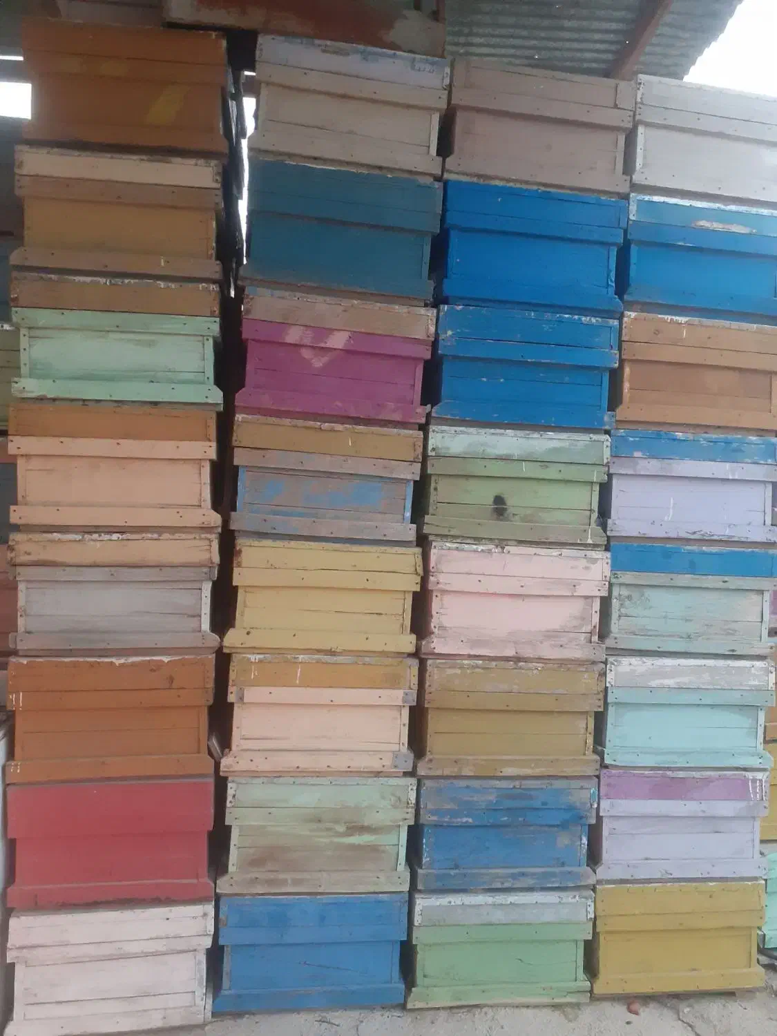 کندو سالم|حیوانات مزرعه|گچی, |دیوار