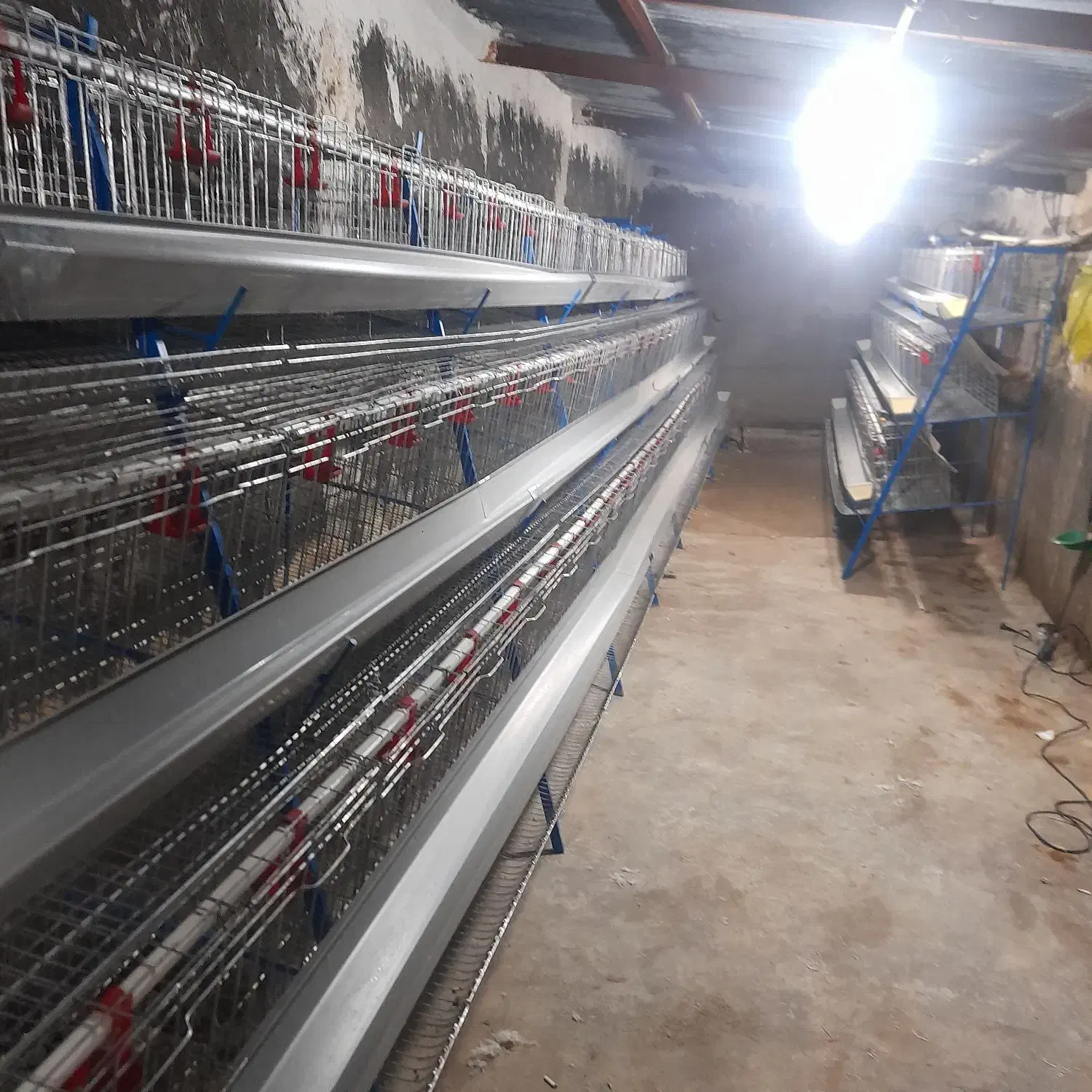 قفس مرغ تخمگذار|لوازم جانبی حیوانات|آبگرم, |دیوار