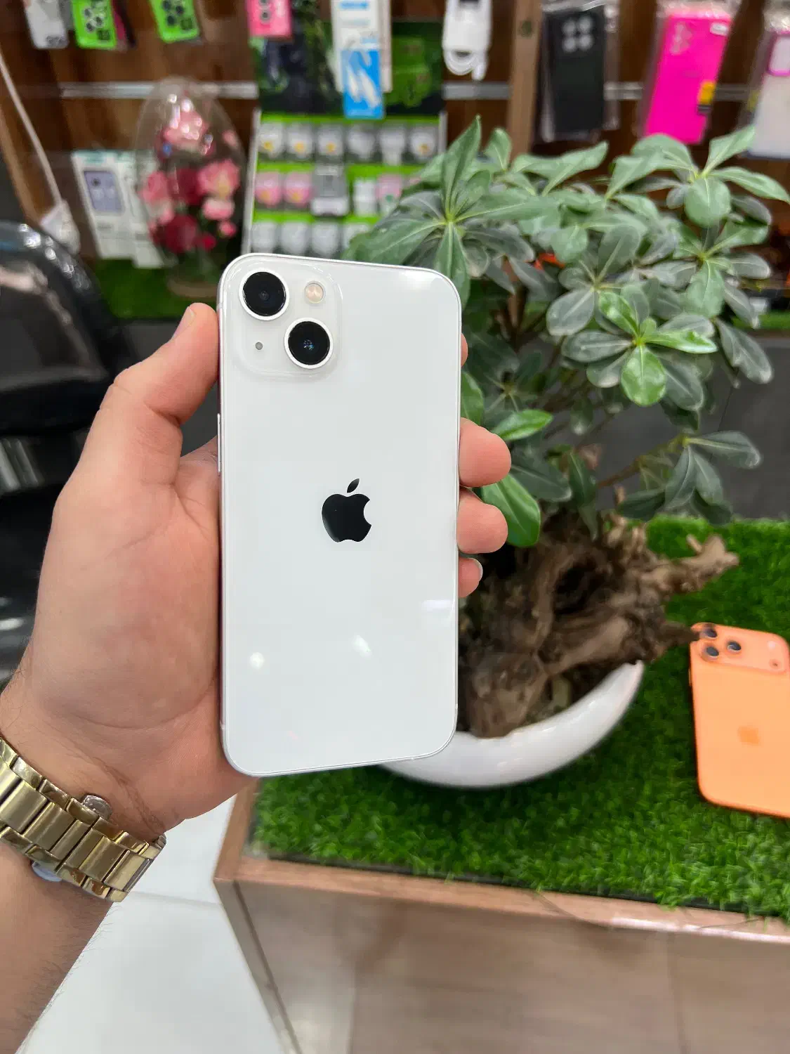 iphone 13|موبایل|سبزوار, ابوریحان|دیوار