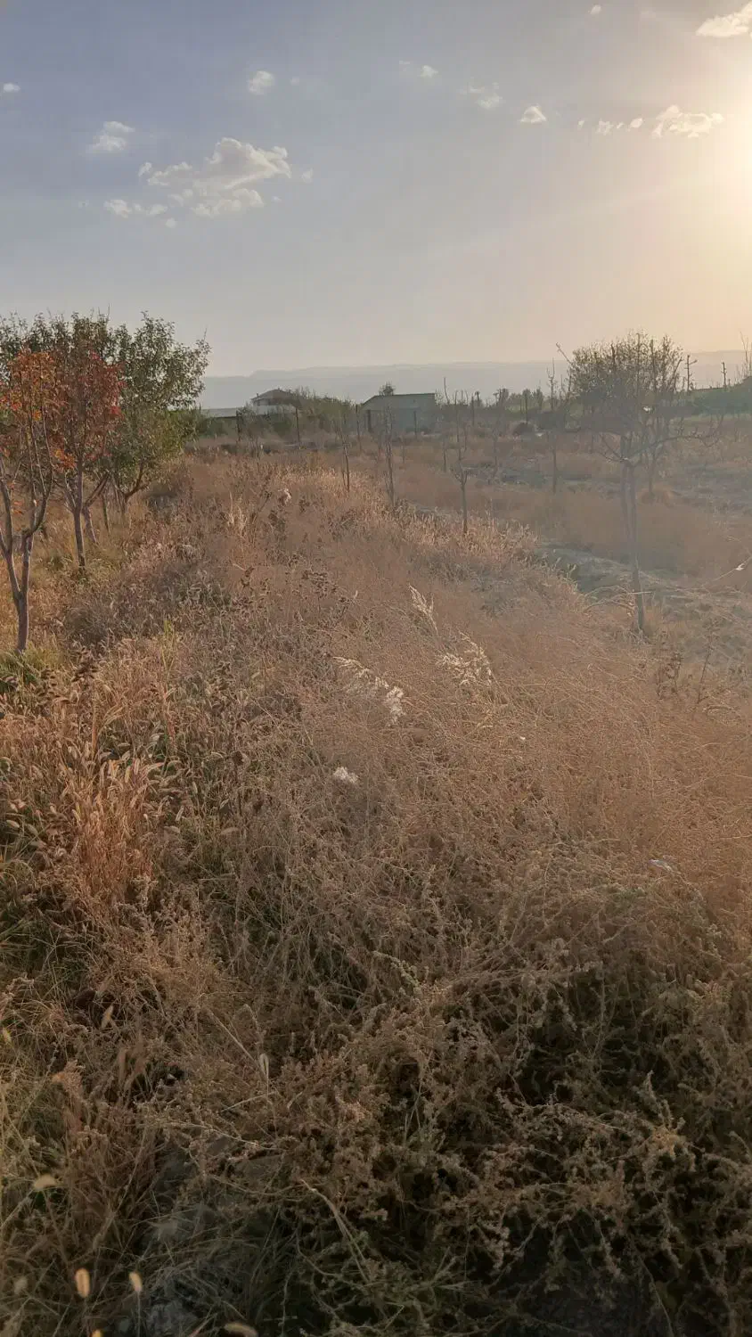 ۳۳۰۰مترباغ در روستای جوکال|فروش زمین و ملک کلنگی|چناران, |دیوار