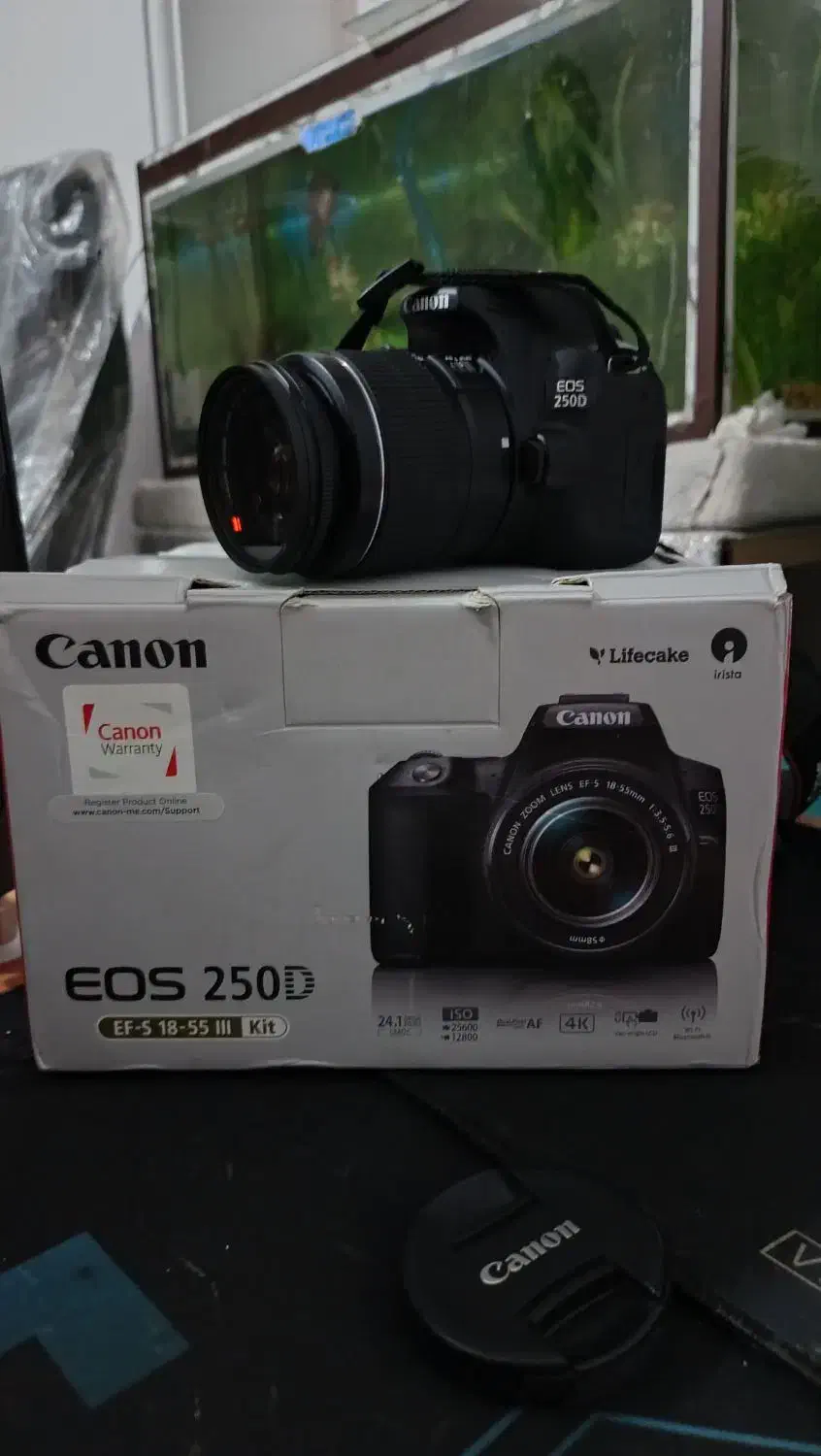 دوربین حرفه ای Cannon 250D|دوربین عکاسی و فیلم‌برداری|زاهدان, |دیوار