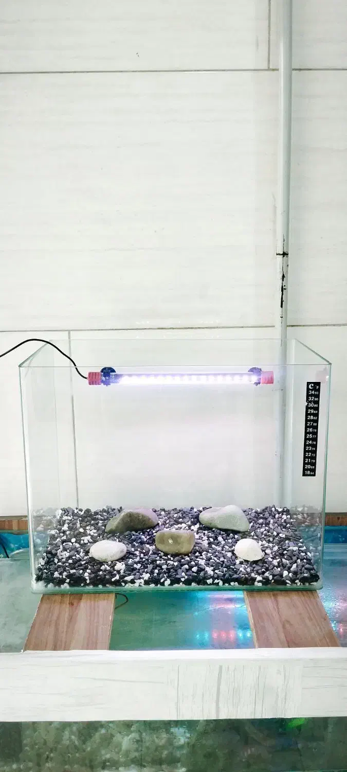 آکواریوم شیشه خم|ماهی|نسیم‌شهر, |دیوار