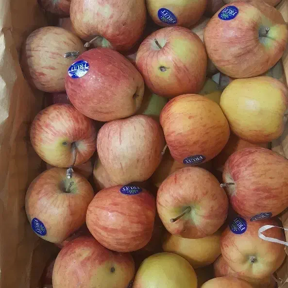 سیب مشکین شهر|خوردنی و آشامیدنی|رشت, رودباری|دیوار