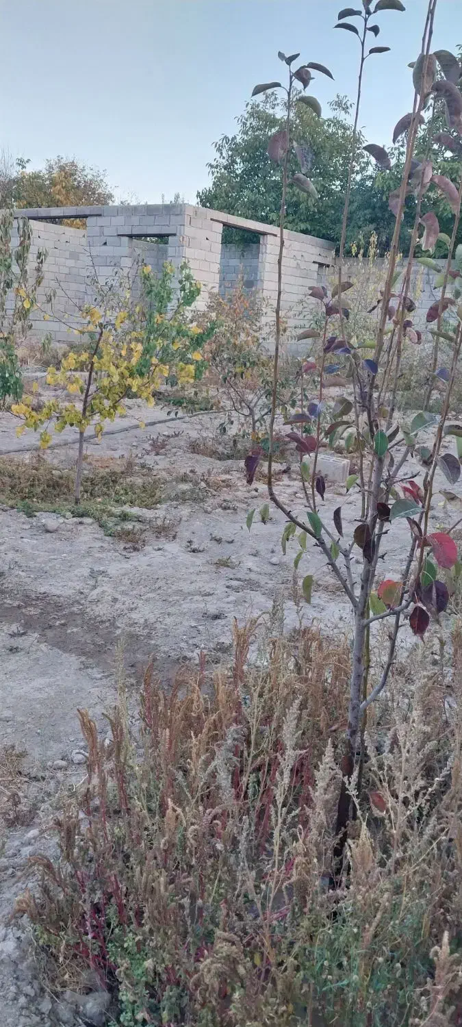 فروش باغ لاهیجان خسروشاه|فروش خانه و ویلا|خسروشاه, |دیوار