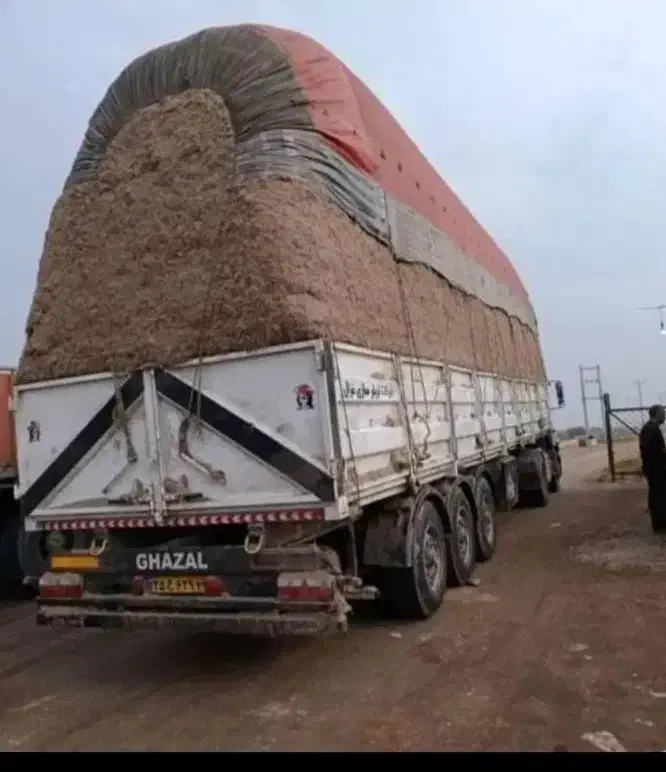 کاه نیشکر|حیوانات مزرعه|اندیمشک, |دیوار