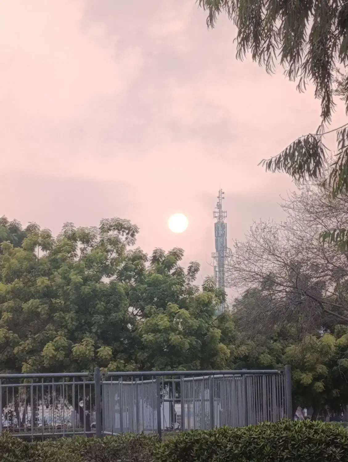 دهکده ساحلی زون ۱ برج آزالیا|اجارهٔ آپارتمان|کیش, |دیوار