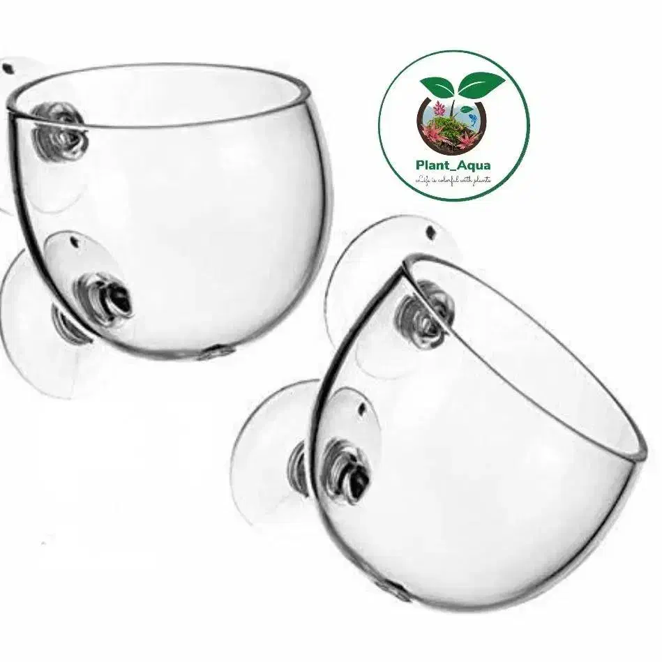 لوازم و گیاه آکواریوم|ماهی|تبریز, |دیوار