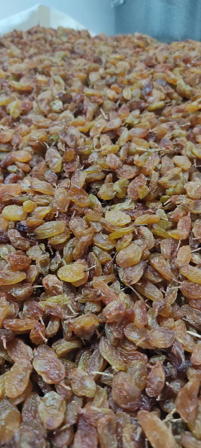 کشمش درجه یک|خوردنی و آشامیدنی|کامیاران, |دیوار