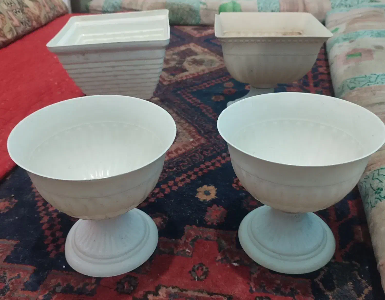 گلدان|گل و گیاه طبیعی|بم, |دیوار