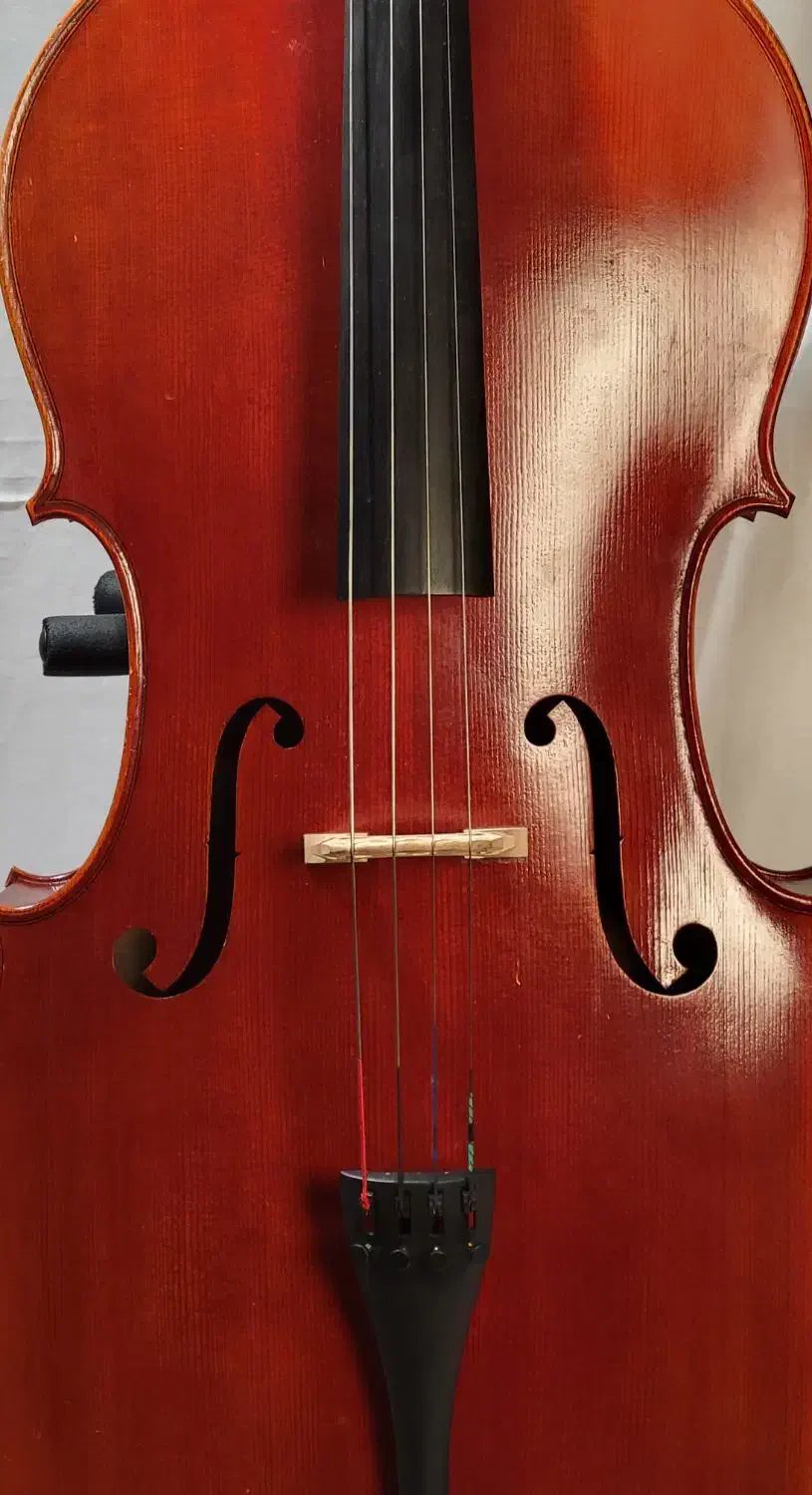 ویلنسل - cello|ویولن|مشهد, موسوی قوچانی|دیوار