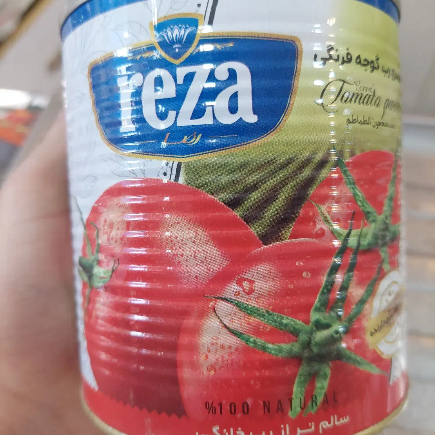 رب بهدیس و رضا|عمدهفروشی|مشهد, نیزه|دیوار