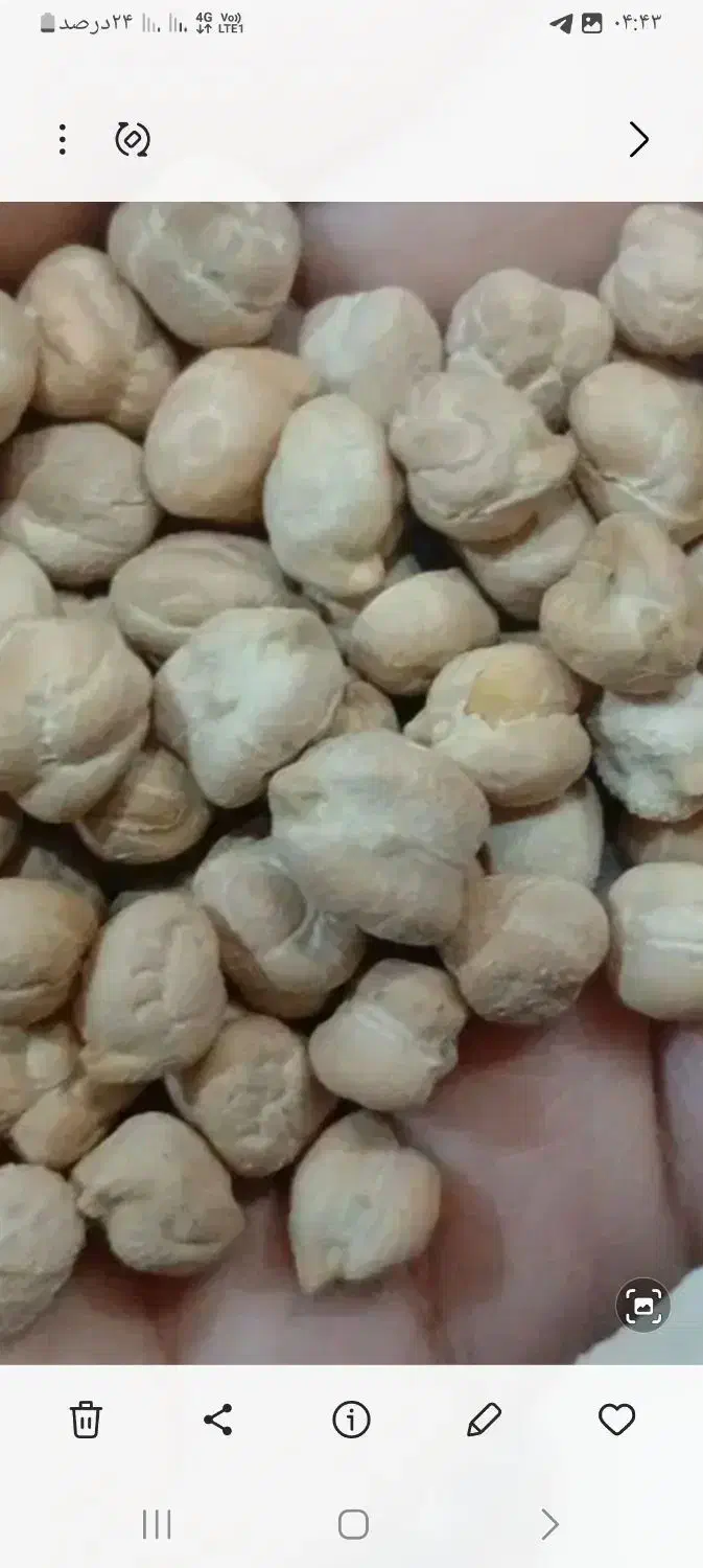 نخود پزاوخوش پخت|خوردنی و آشامیدنی|سیلاخور, |دیوار