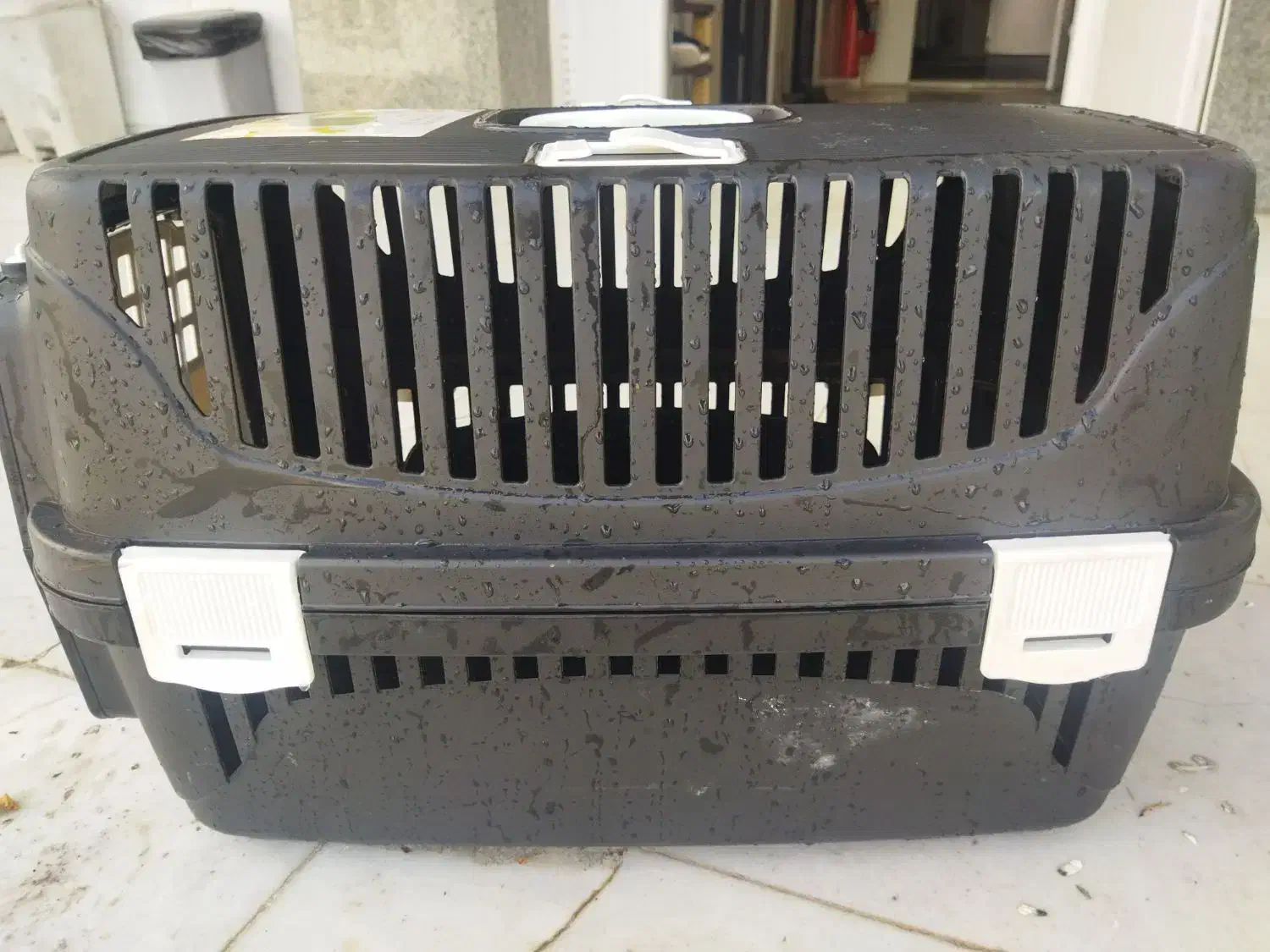 باکس سگ و گربه|لوازم جانبی حیوانات|رشت, دباغیان|دیوار