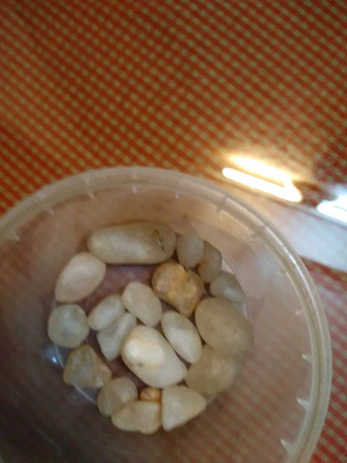 انگشتر شرف الشمس|جواهرات|محمدیه-قزوین, |دیوار