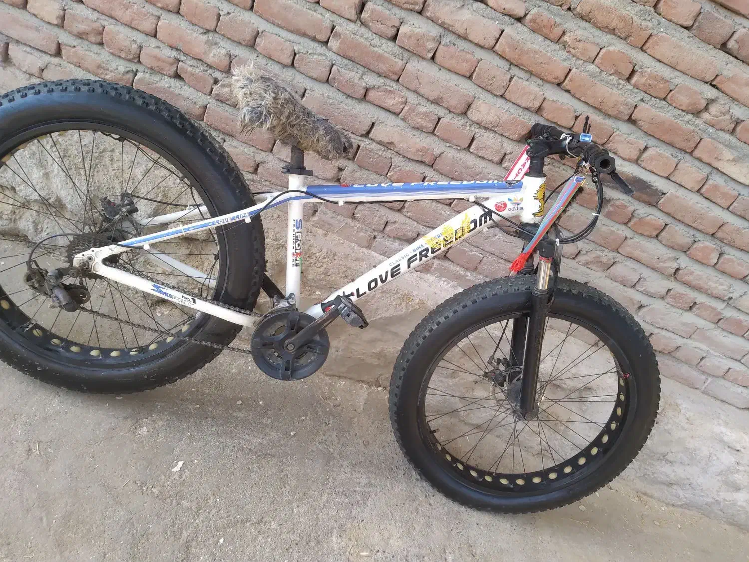 دوچرخه با لاستیک های پهن|دوچرخه، اسکیت، اسکوتر|ملکان, |دیوار