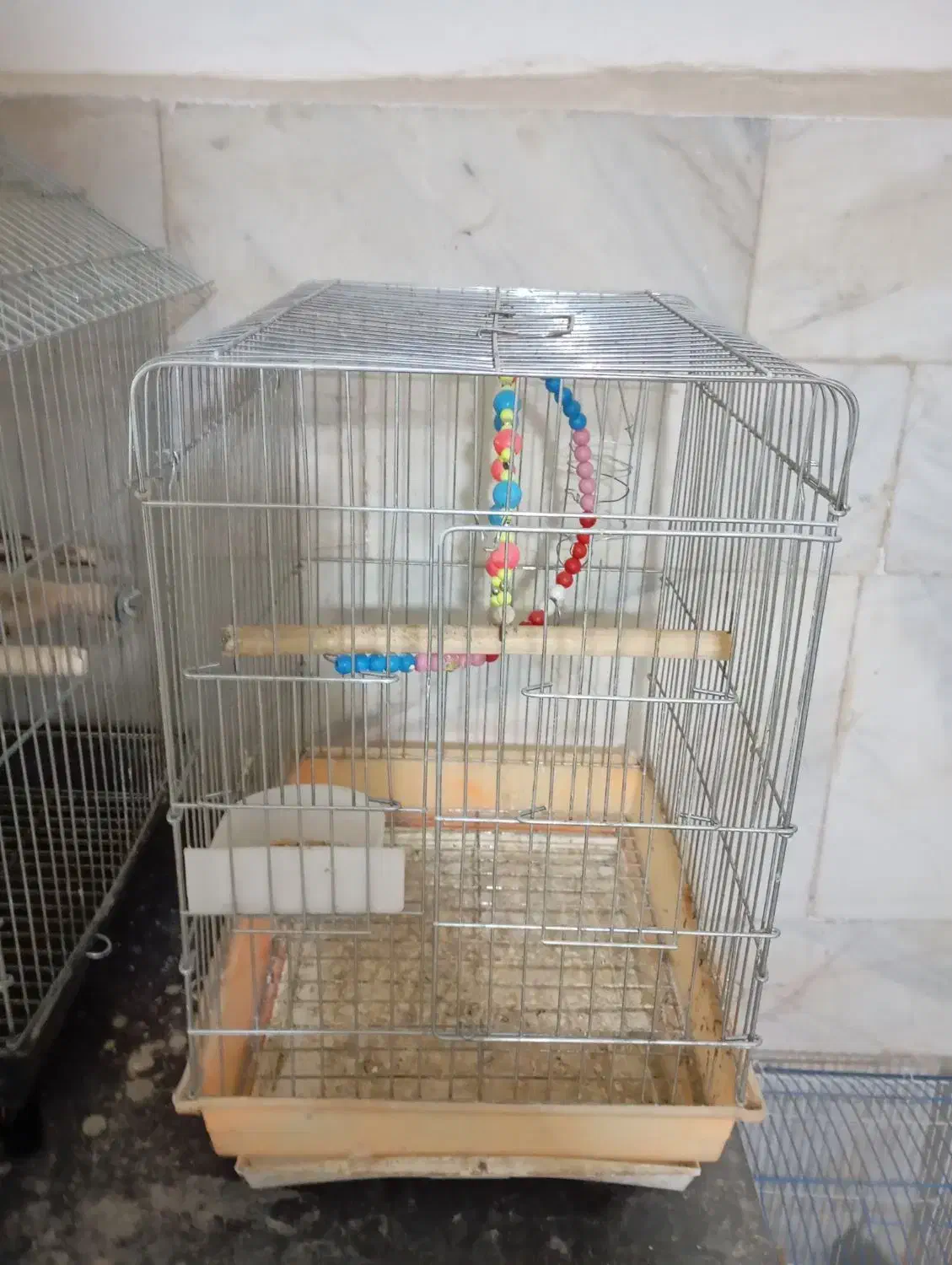 سرگرمی وفراغت|لوازم جانبی حیوانات|مریوان, |دیوار