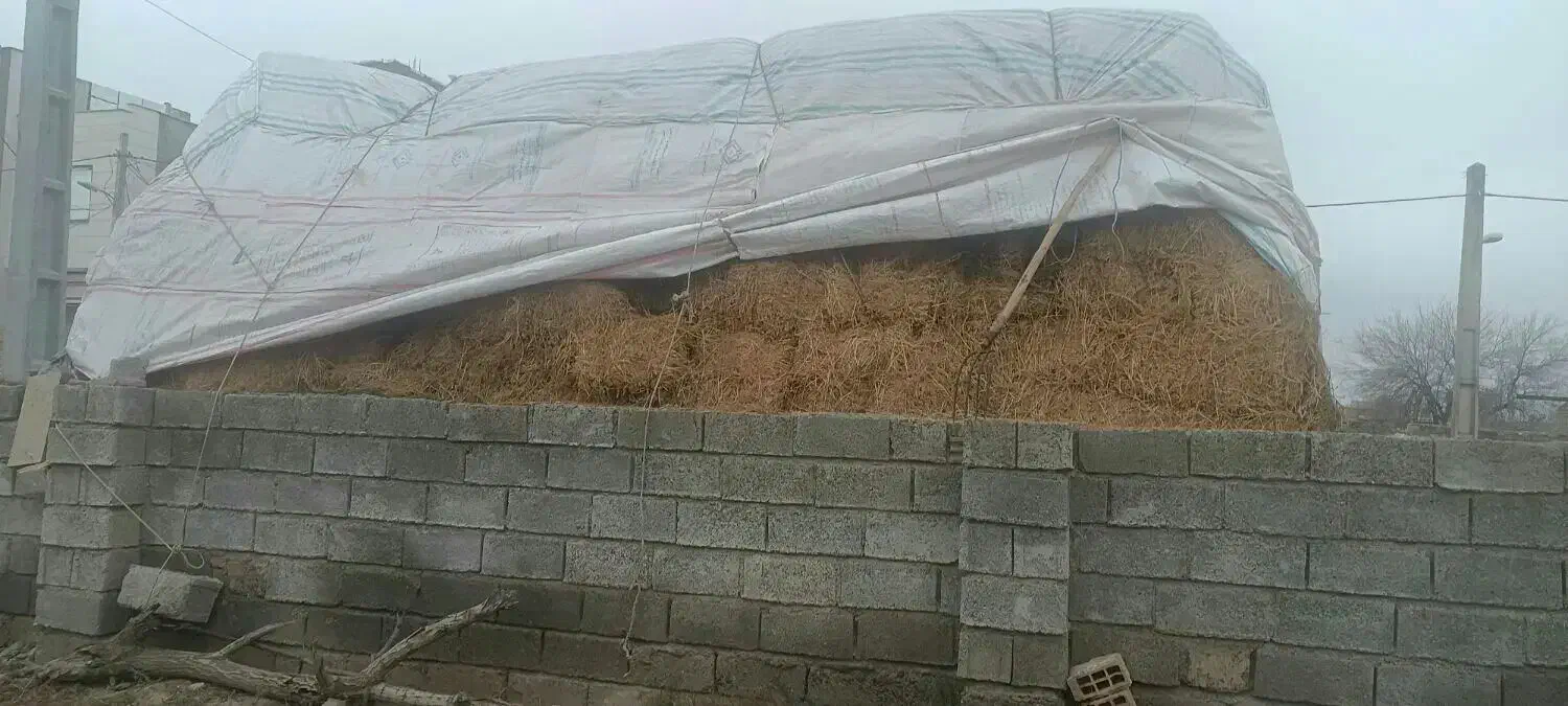 یونجه|عمده‌فروشی|پارس‌آباد, |دیوار