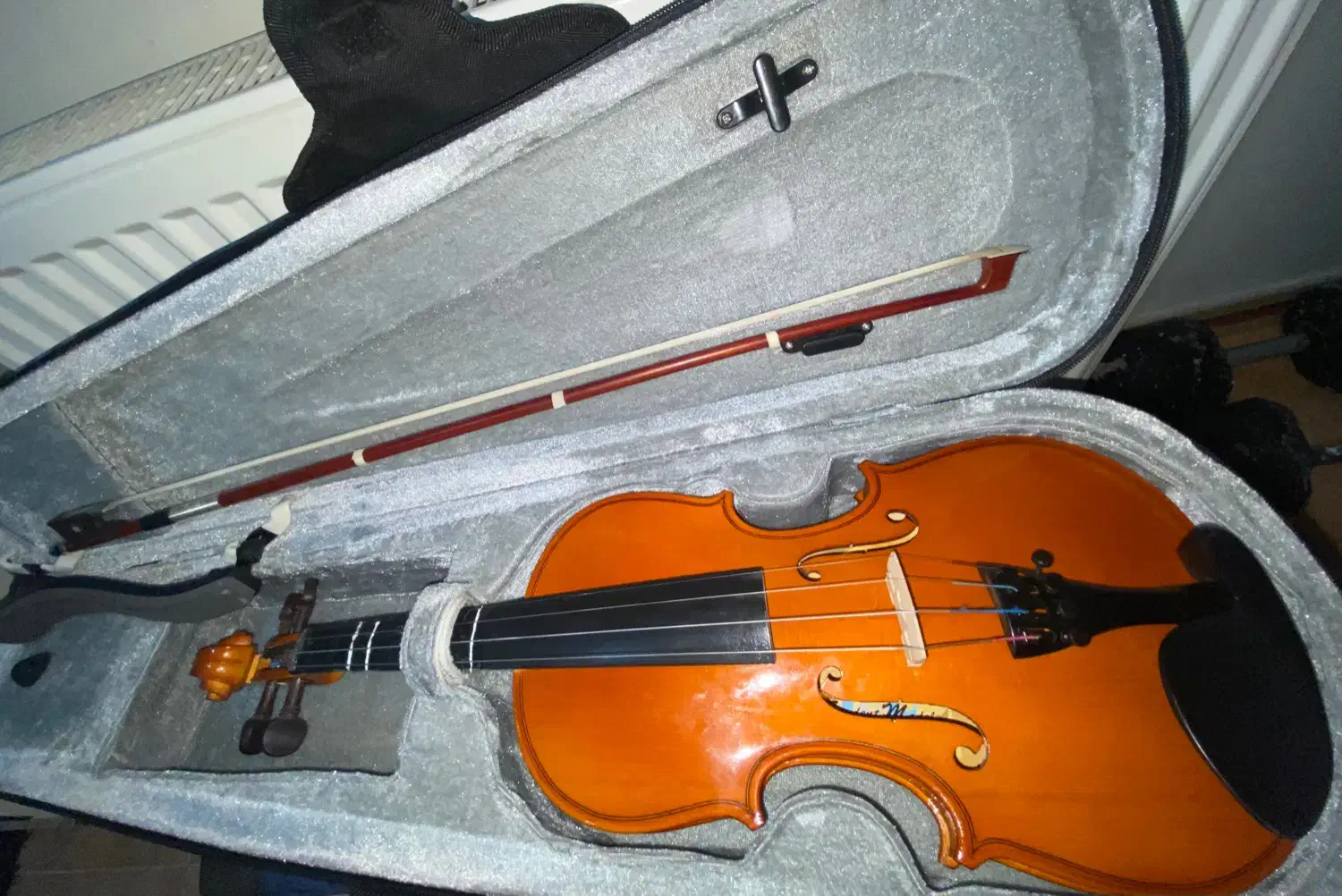 ویالون|ویولن|سیرجان, |دیوار