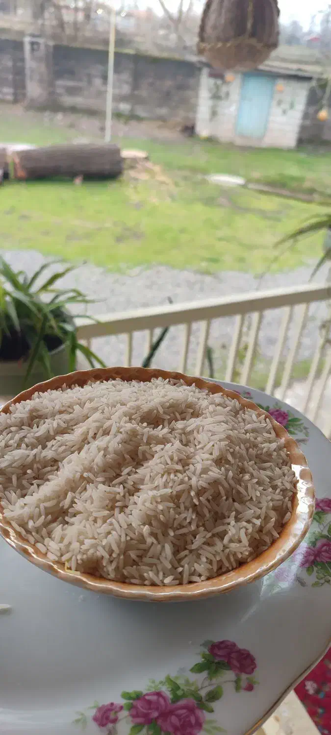 برنج درشت و سرلاشه و نیم دانه هاشمی دسترنج کشاورز|خوردنی و آشامیدنی|رشت, آزادگان|دیوار