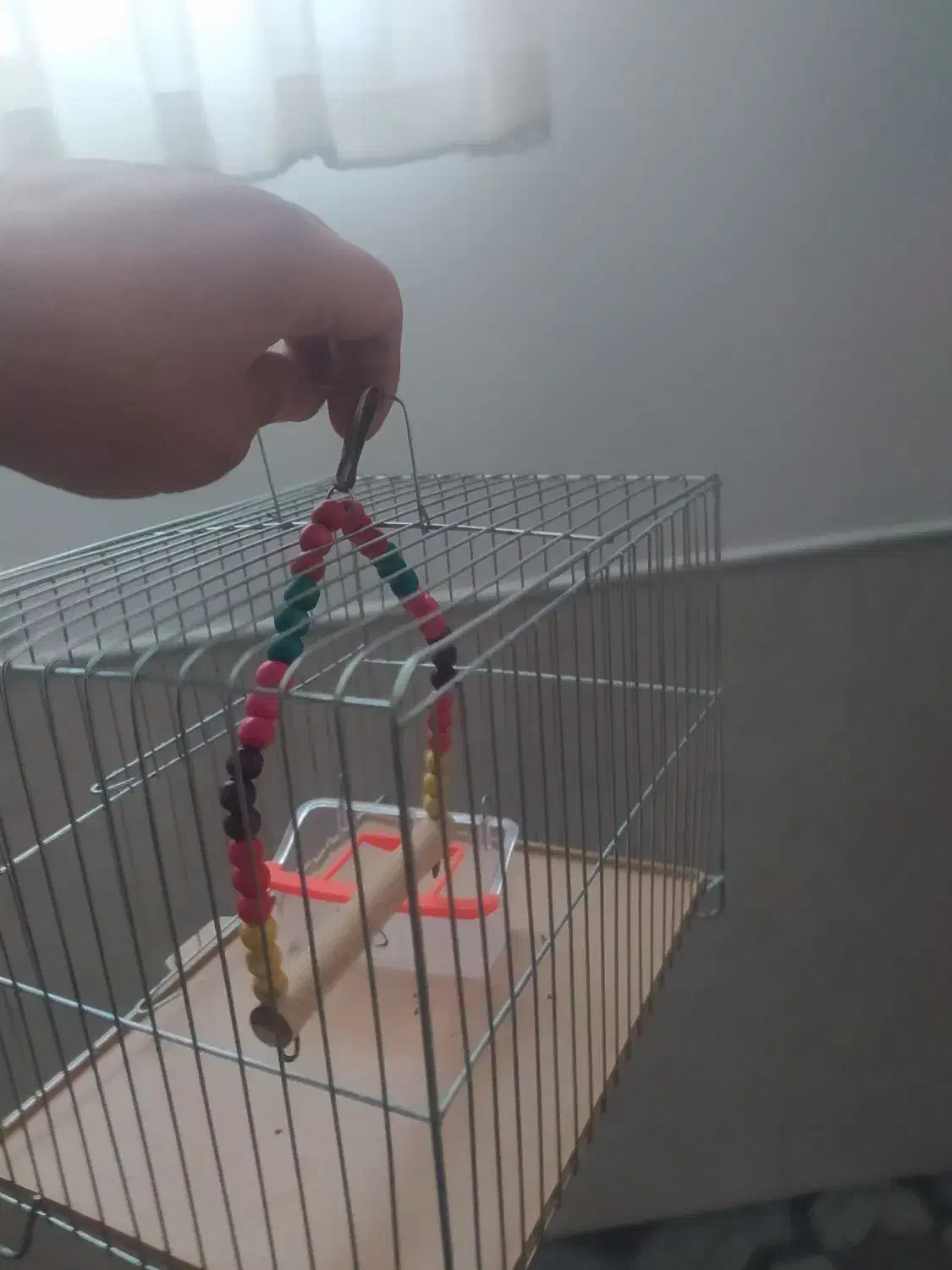 قفس پرنده|لوازم جانبی حیوانات|میبد, |دیوار