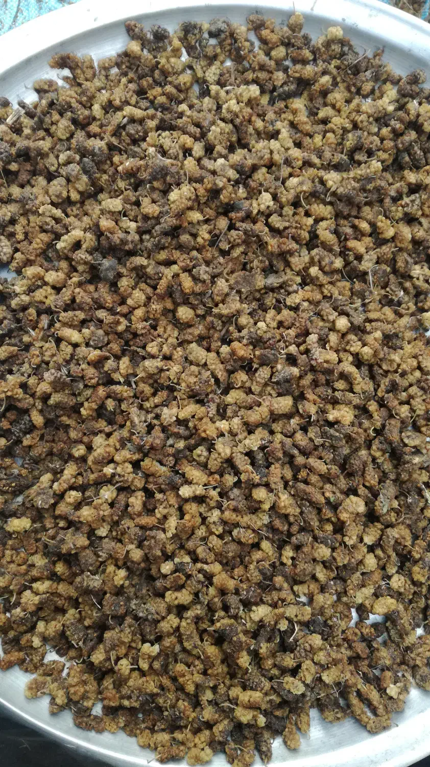 قره توت ، شیره لی|خوردنی و آشامیدنی|مشگین شهر, |دیوار