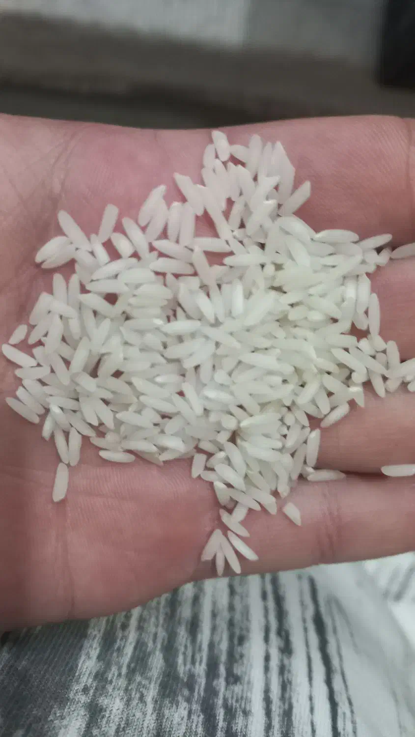 برنج(برنج طارم هاشمی )|خوردنی و آشامیدنی|بهشهر, |دیوار