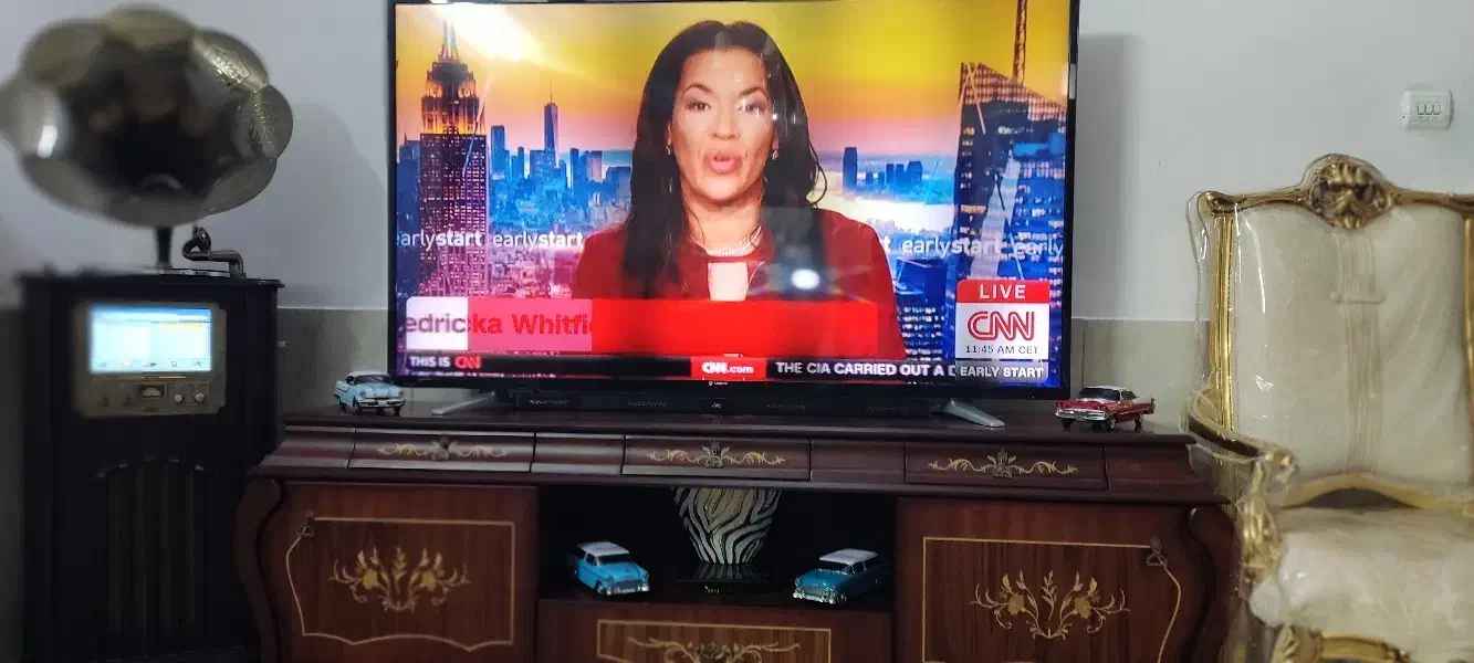 گربه ملوس امانت|گربه|مشهد, احمدآباد|دیوار