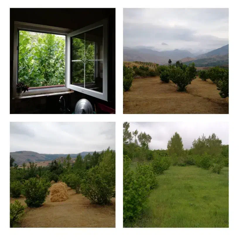 ویلا کوهستانی ۲۰۰۰ متری جنب چشمه آب معدنی دایمی|فروش خانه و ویلا|رشت, سعدی (تختی)|دیوار