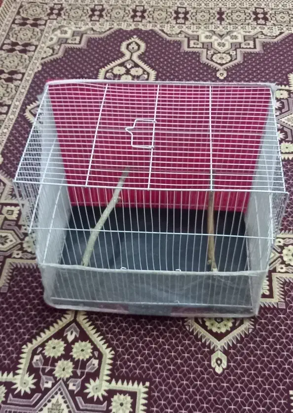 قفس ۵۰ در ۳۰ و آغل و لانه پرنده و سرلاک|لوازم جانبی حیوانات|مشهد, نیزه|دیوار