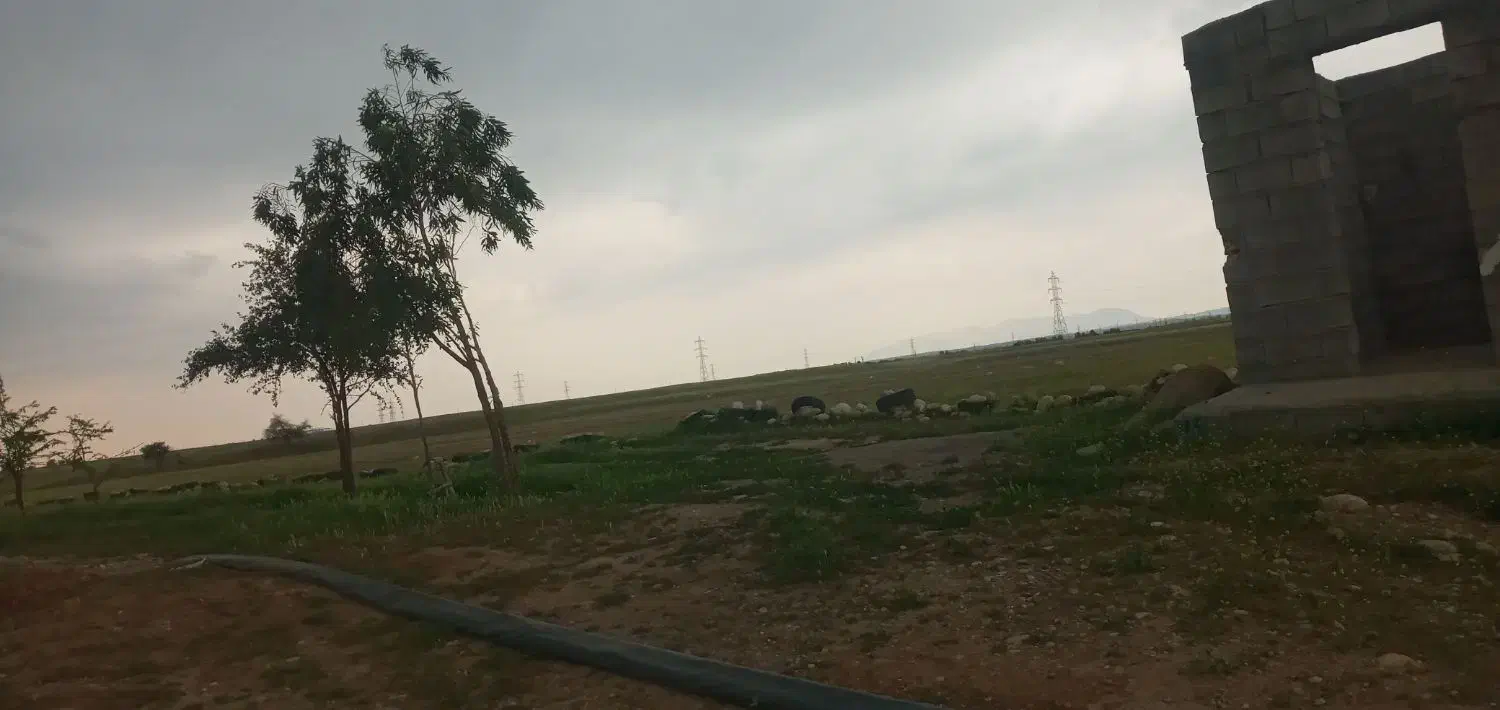 اجاره۱۵هکتارزمین کشاورزی دیم|اجارهٔ دفتر صنعتی، کشاورزی، تجاری|اندیمشک, |دیوار