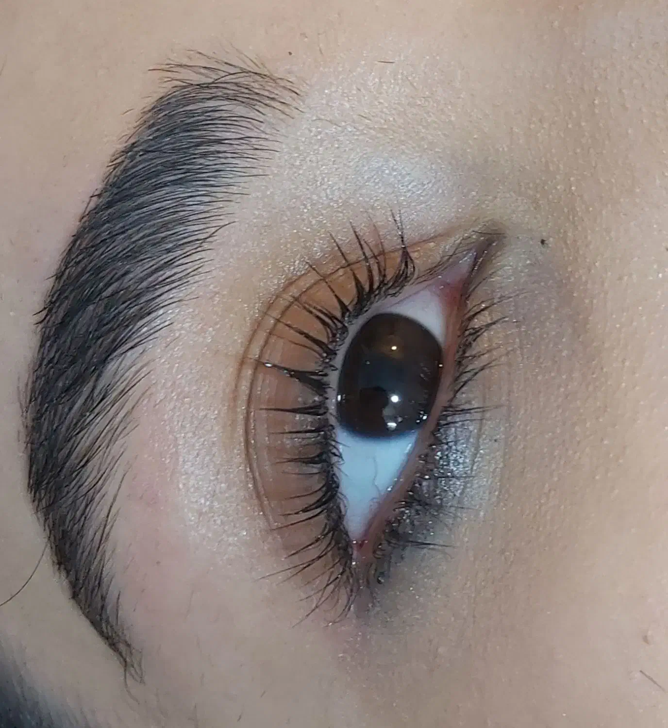 لیفت مژه و ابرو + آموزش تخصصی|خدمات آرایشگری و زیبایی|بروجرد, |دیوار